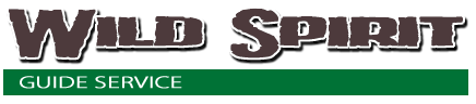 Wild Spirit Guide Service - Upper Peninsula Bear Deer Hunt